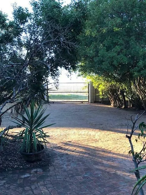 Guest house The Vineyard East Hotel Durbanville South Africa